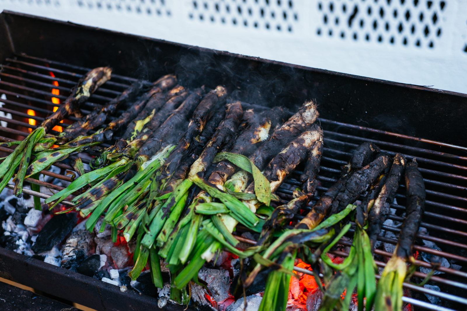 Calçots_01